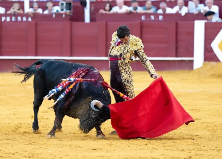 jon90537481's tweet photo. Ayer José Antonio se entregó en cuerpo, riñones y alma....y Málaga ni se enteró! Allá ellos! Gracias Jose Antonio https://t.co/cI1p7Jchai