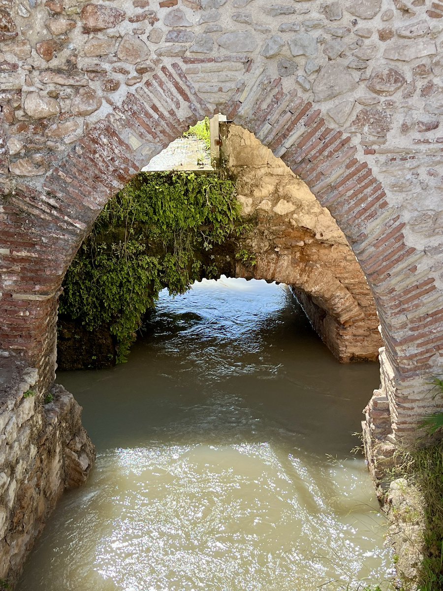 enunlugardelah1's tweet photo. 🍋🧵Ruta CONTRAPARADA LAS NORIAS🧵

1️⃣ Murcia podría tener una ruta emblemática. Un reclamo turístico.

Una ruta circular con el agua como eje central, que conectara La Contraparada con las acequias mayores y las norias.

Más de 1000 años de historia a través de 17km.

Por aquí⬇️ https://t.co/46sTix1LL1