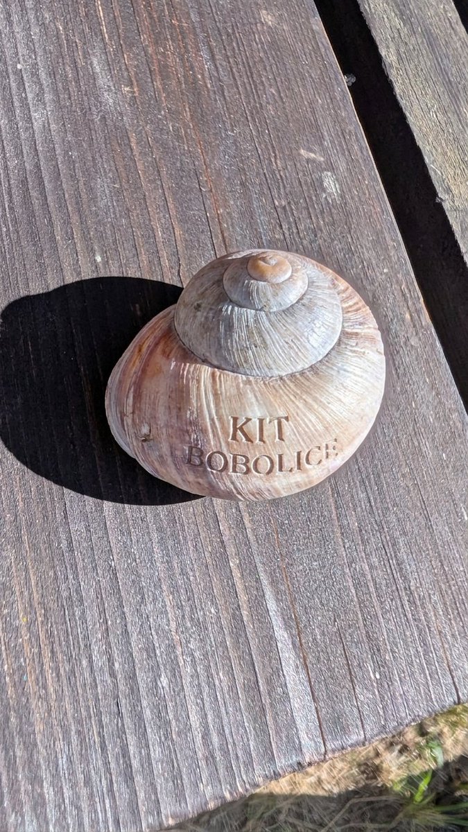 The10i1's tweet photo. @BartoszScheuer Figurek nie było, ale zdobyłem muszelkę z certyfikatem. Tutaj chyba jest filia instytutu. https://t.co/veD54nfQnb