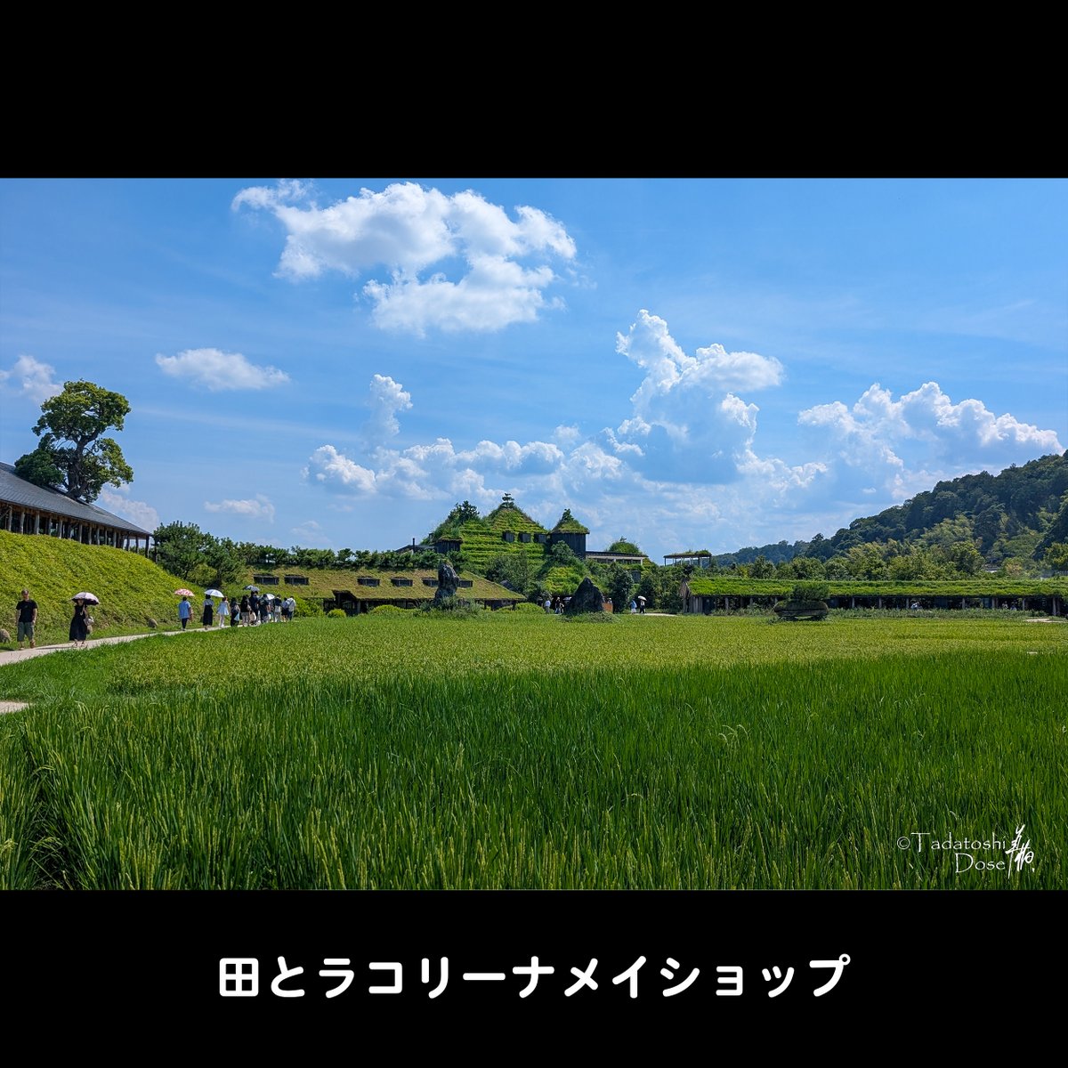 animalphoto7's tweet photo. #ソロツーリング
#ラコリーナ近江八幡 へ
興味ある建物で畦道に生きものがいっぱい。
バームのお土産も購入し、竜王アウトレット経由で帰宅
#Huntercub #ハンターカブ #CT125
#cub #カブ #ホンダ #バイクさんぽ #バイク旅 #カブ主 #カブさんぽ #カブ散歩 #カブ旅
#クラブハリエ #バームクーヘン https://t.co/EWTRyL4Xgr