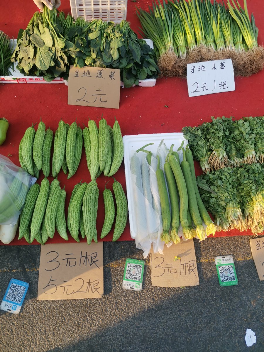 ekonayya's tweet photo. Just restocked our organic romaine lettuce, ripe cherry tomatoes and aromatic basil—perfect for a fresh summer salad! Grab yours at the farmers’ market stall this afternoon. https://t.co/7wGtZ8oFVb
