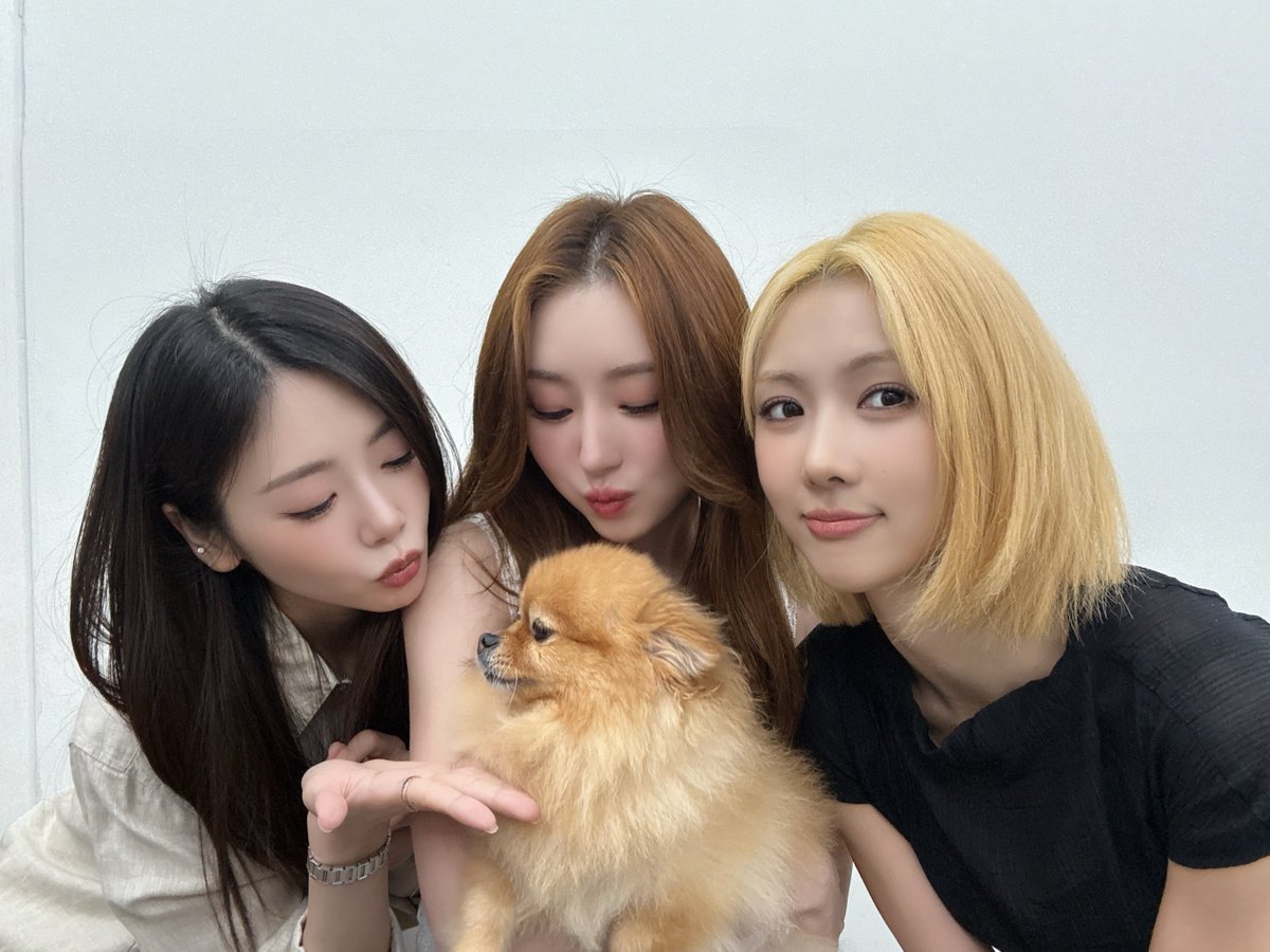 hf_dreamcatcher's tweet photo. [✏] 26.08.23 뮤직앤드라마 팬사인회❣

인썸니아와 함께해서 행복했던 일요일🥰
새로운 한주도 화이팅👏

#유아유 #UAU
#Dreamcatcher_UAU https://t.co/ZS1nLcKF6g