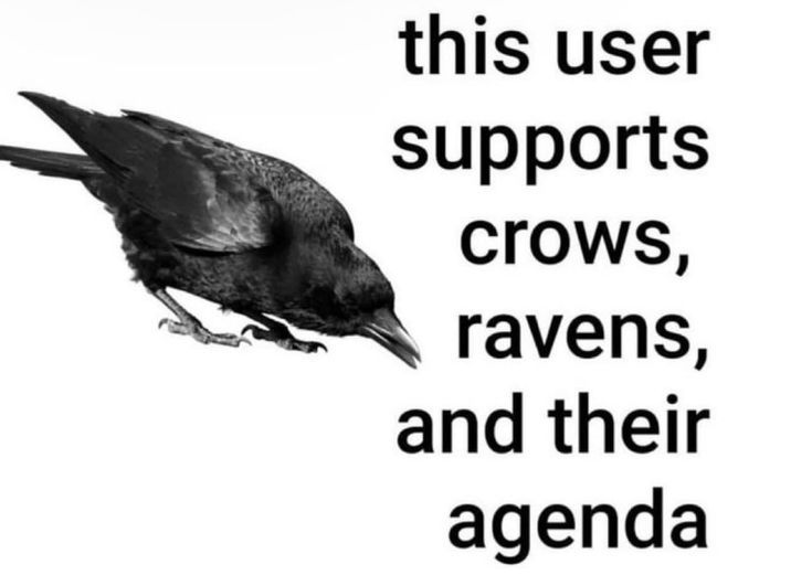 05CRAYE's tweet photo. https://t.co/w4rCVAWG5w