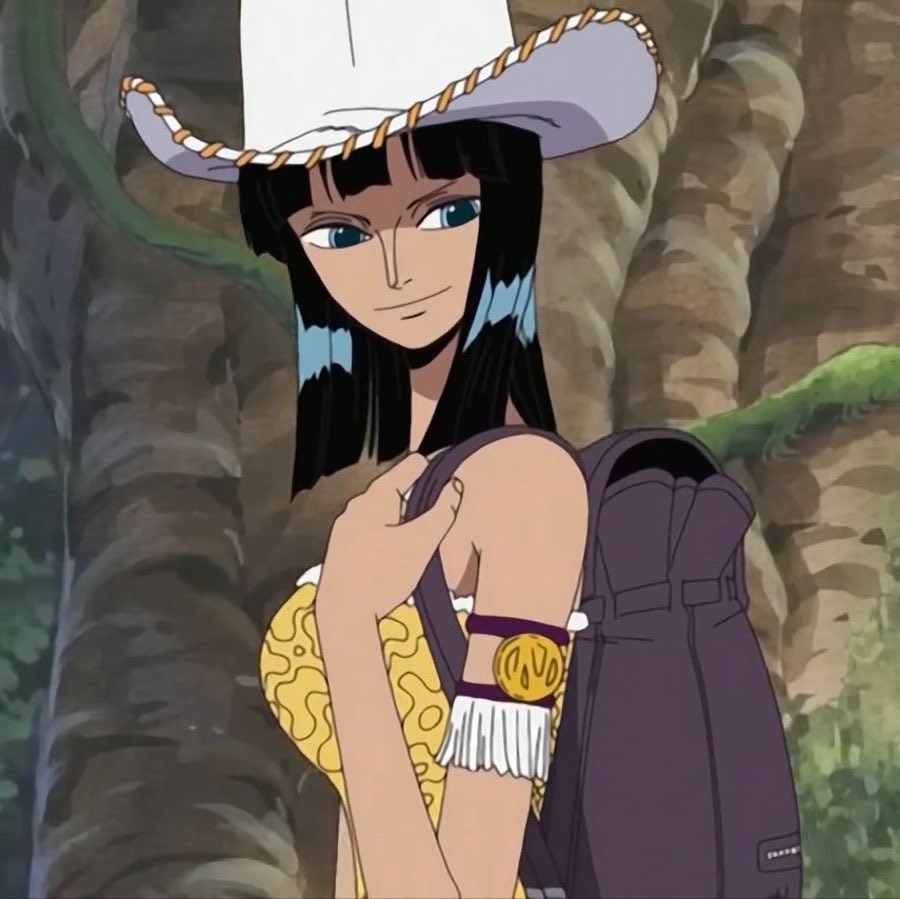 HauntingUrHouse's tweet photo. i mourn nico robins cowboy hats every day https://t.co/GZfDQjX1lh