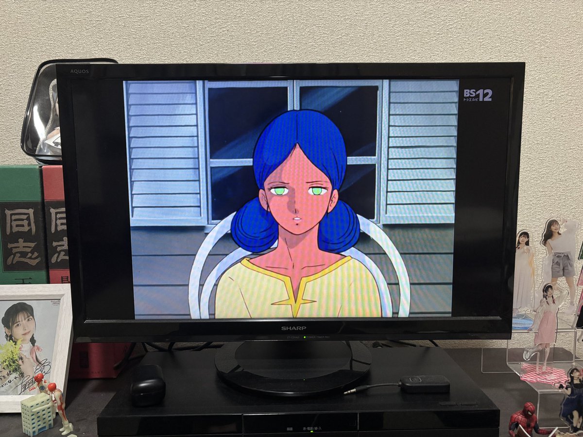 美しい もの が 嫌い な 人 が いて