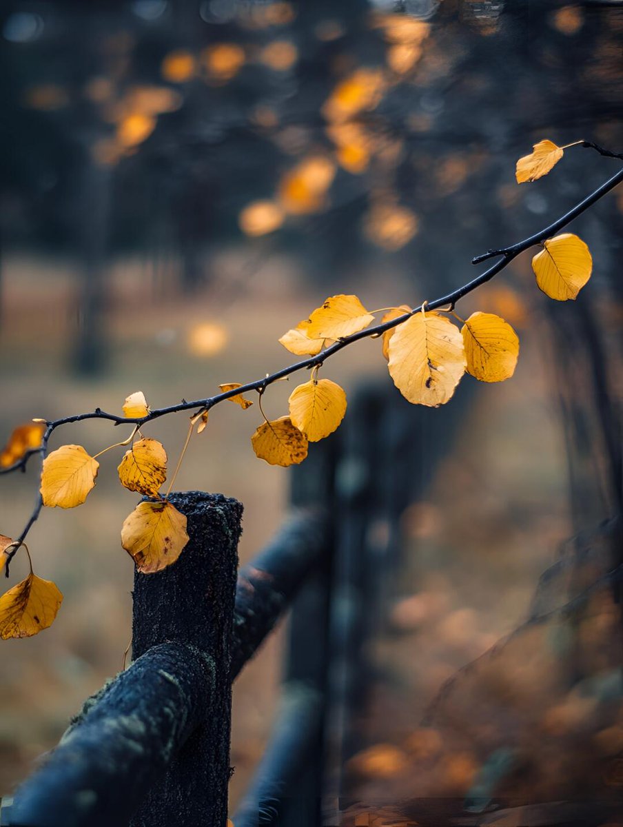 nxdexrr's tweet photo. Chilly autumn breeze + golden falling leaves = the perfect way to wrap up a Tuesday morning. ， https://t.co/edyQ3qyDr9