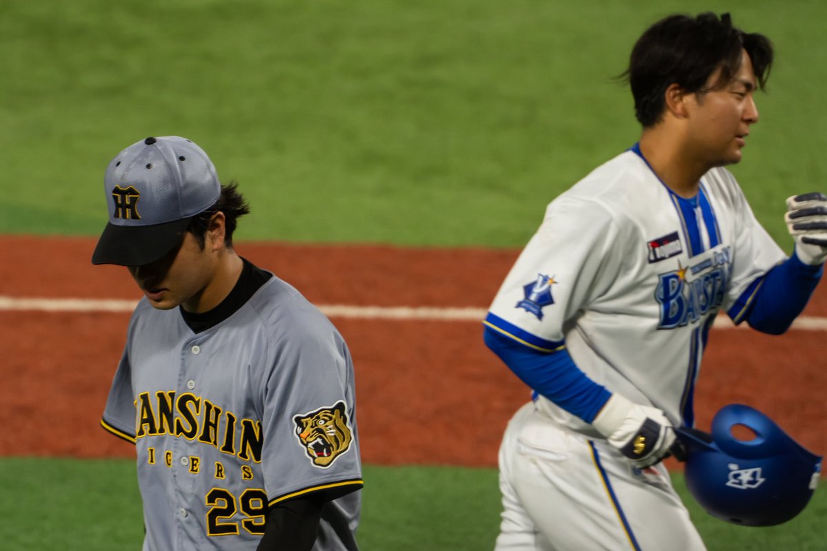 zolzic's tweet photo. 勝又選手が申し訳なかった様子で髙橋遥人投手へ駆け寄る

アレは勝又選手が悪いことは一切ないプレーだったからね…

2026.08.23 横浜スタジアム
#髙橋遥人 投手
#勝又温史 選手
#阪神タイガース https://t.co/vT9f6xTgf6