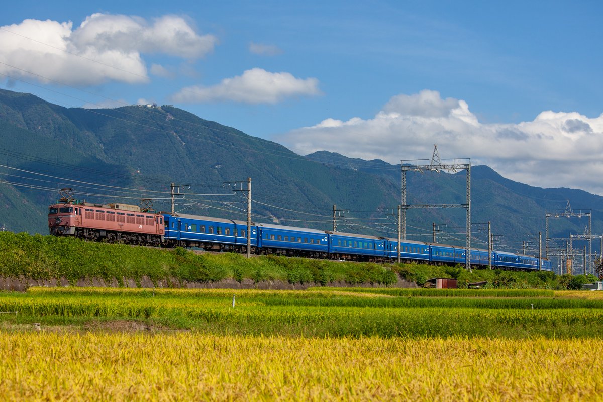 sansara_3's tweet photo. 2011年8月下旬に撮影した寝台特急「日本海」。
滋賀県・湖西の稲は刈り入れ時期が早く、そろそろ黄色に色づいてくる頃でしょうか。 https://t.co/aT8WlIgi7a