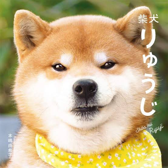 tugeer's tweet photo. @hanamukeminato https://t.co/cUmYMAqoVf