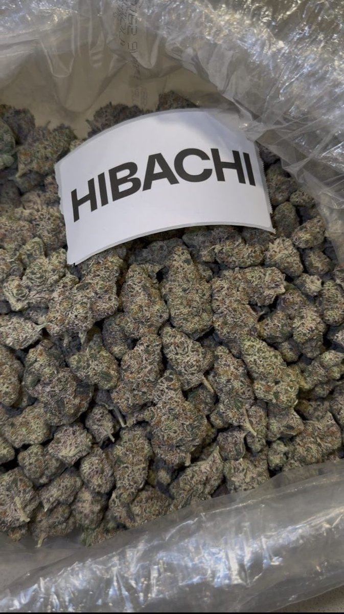 THUGGERPLUG105's tweet photo. HIBACHI🍁🍁
EXOTICZ ONLY 💯
TAP IN‼️‼️
ACTIVELY REPLYING DMS📲📲

#Dallas #DTX #DallasFreaks #DallasMeetups #DallasMeets #ATX #dallascarts #dallasweed
#ATXweed #austinweed #dallasexotics #dallasdisposables #dallasplugs #dallasdrugs https://t.co/BTJyRxn4wW