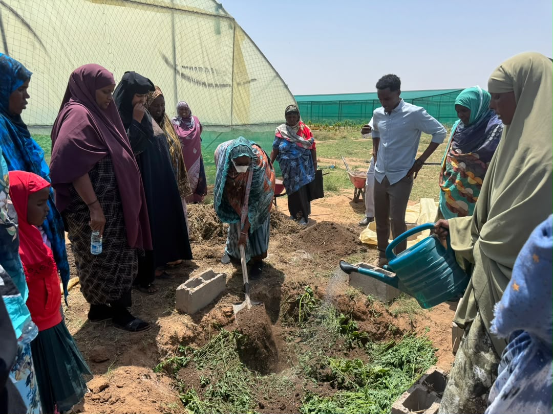 FCASomaliland's tweet photo. 🌱40 farmers strengthened their practical skills in Climate-Smart Agriculture through 10-day Farmer Field School under the Badbado Project, covering irrigation, soil &amp; water management, IPM &amp; farm business planning. With support from @Ulkoministerio
@FCA_global
#Right2Livelihood https://t.co/w7mf43SHyN