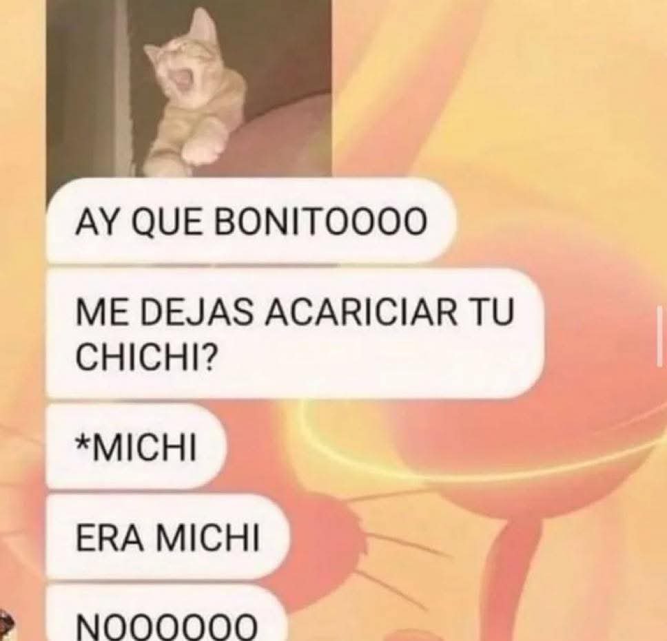 hello_kitttyysx's tweet photo. jajaja yoo

a poco no se ven bien acariciables? 💕 https://t.co/pT4sxRtqOK
