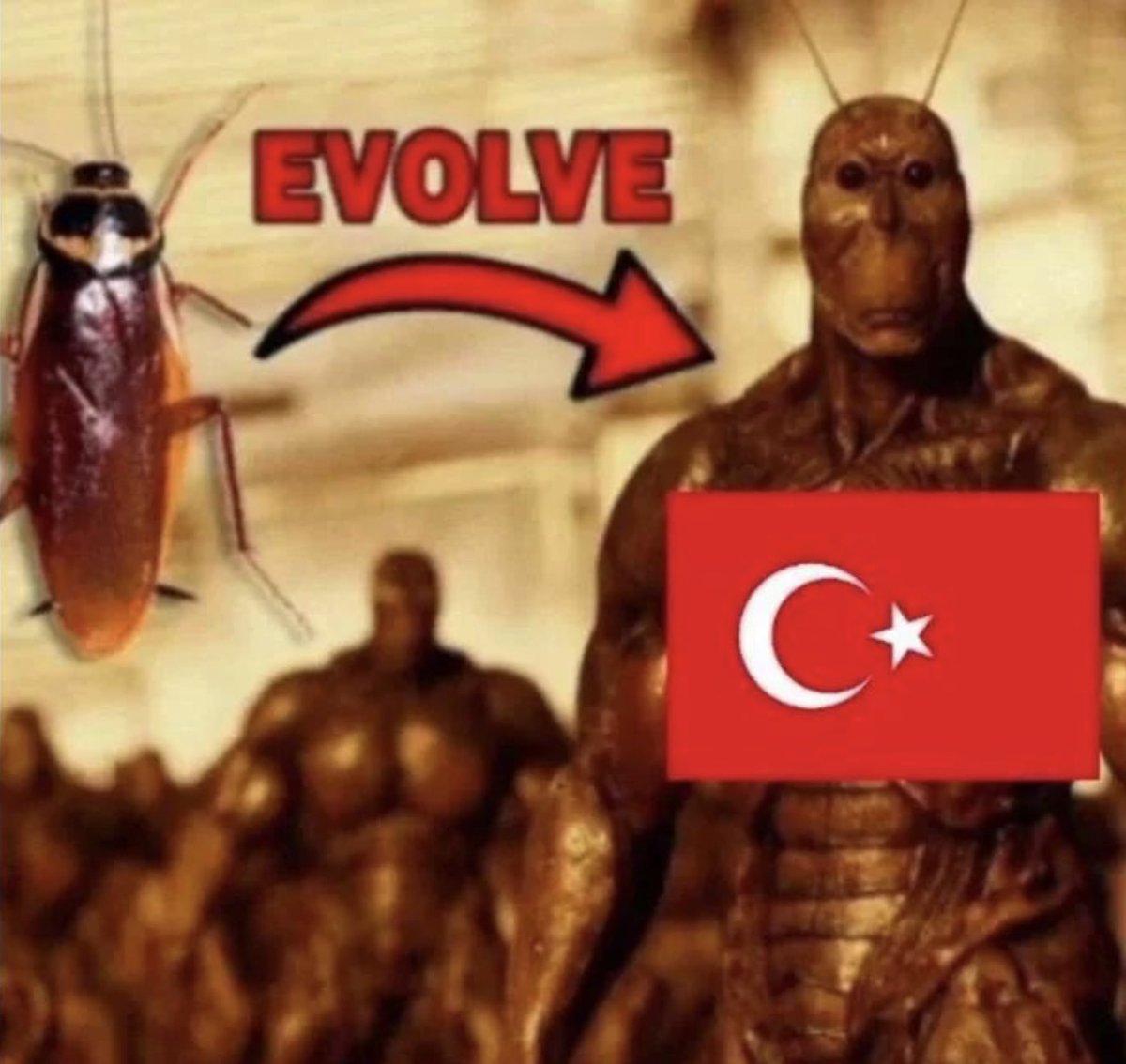 TruthMakerJew's tweet photo. @tepegozsiken M-mister Turk... Y-you can't fuck your relativ- "EVOLVE" https://t.co/Tz1wTMuH2I