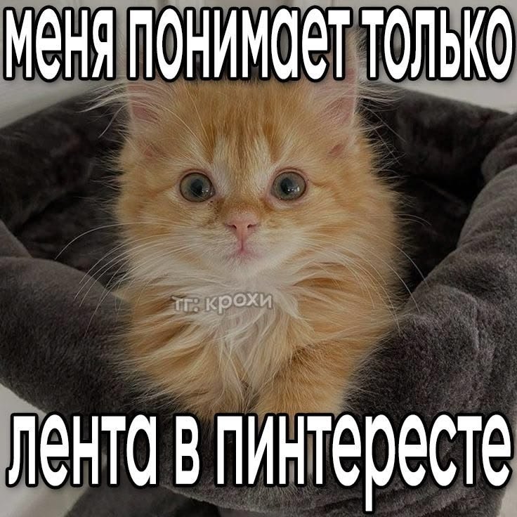 akaneuoou's tweet photo. пинтерест и твиттер такой вайбовый https://t.co/w6RUcMshoR