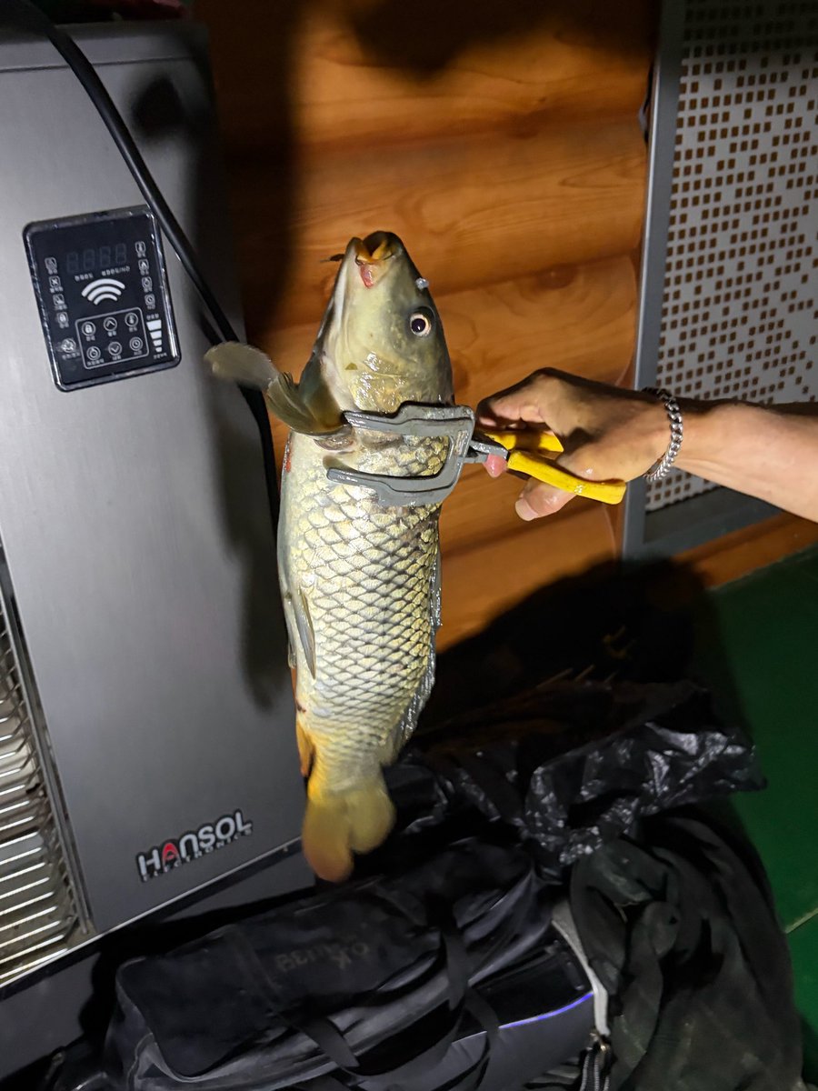 loobleglobal's tweet photo. hyunjin fromm update #현진

hyunjin went fishing

#루셈블 #Loossemble @Loossemble_twt https://t.co/JI1wAy7dt9