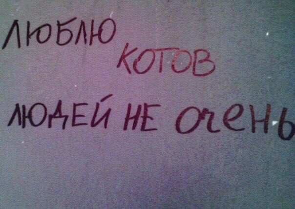 Repersha01's tweet photo. https://t.co/MgZRRu2a83