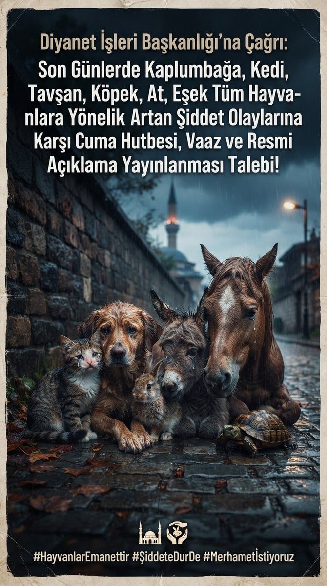 pscsym's tweet photo. 📣Diyanet İşleri Başkanlığı’na Çağrı: Kaplumbağa, Kedi, Tavşan, Köpek, At, Eşek Tüm Hayvanlara Yönelik Artan Şiddete Karşı Cuma Hutbesi, Vaaz ve Resmi Açıklama Talebi

Bu dilekçeyi göndererek ve dilekçe kampanyasını paylaşarak bana destek olur musun?🙏 

https://t.co/IirGImkTw8 https://t.co/9XXRE5OAE6