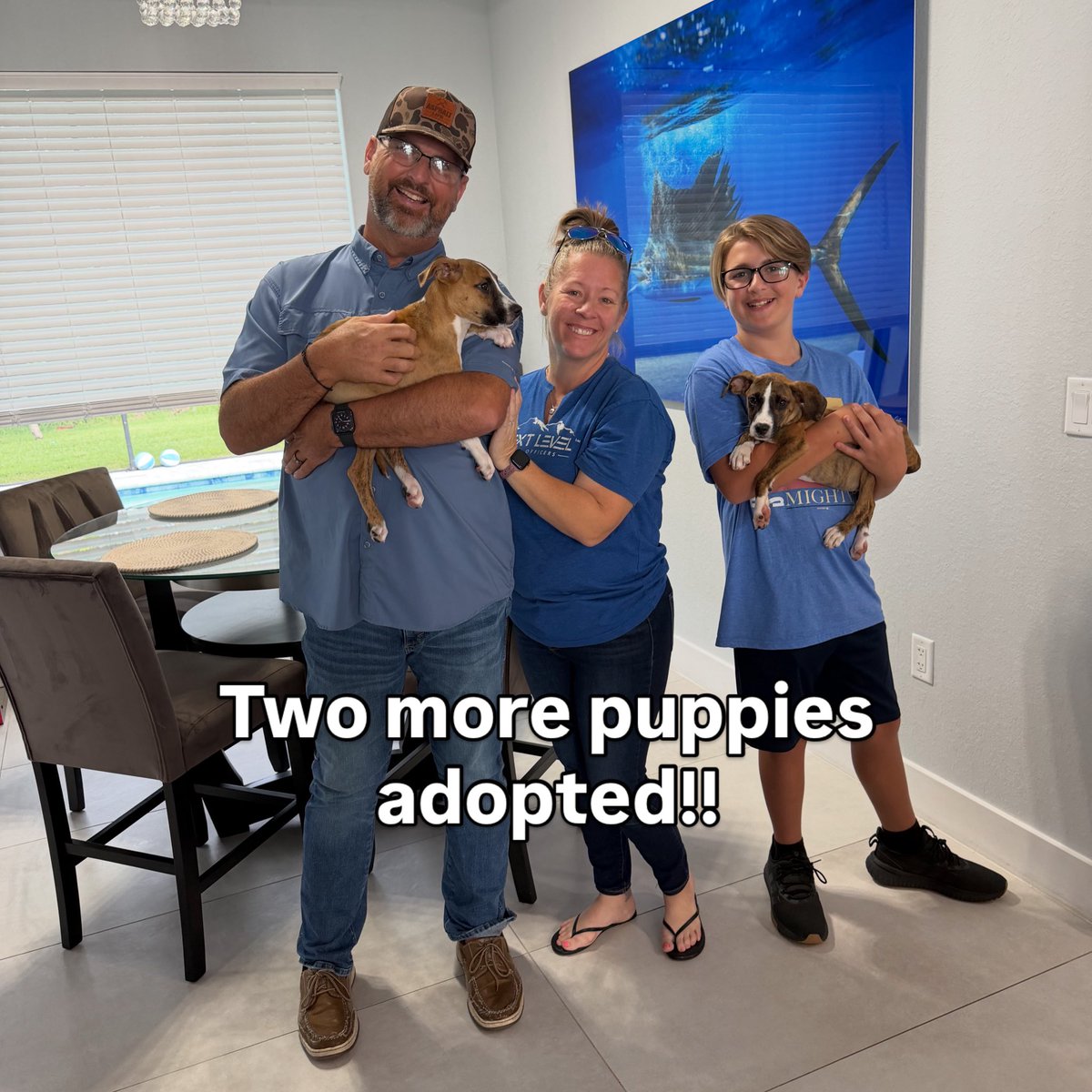 BrendonLeslie's tweet photo. BREAKING: 2 more puppies are going with  their new families tonight!

So glad these brothers are staying together!

We have now found homes for 7 of the 8 puppies in 6 days since I found them behind a dumpster in Alabama

God is good! https://t.co/V3AsuhCsZM