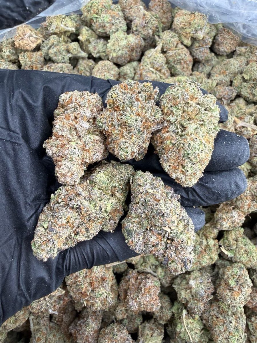 555_mic42518's tweet photo. Chula Vista weed, Buffalo weed, Fort Wayne weed, Lubbock weed, St. Petersburg weed, Toledo weed, Laredo weed, Irving weed, Chesapeake weed, Glendale weed, Winston-Salem weed, Port St. Lucie weed, Scottsdale weed, Garland weed, Boise weed, Frisco weed, Richmond weed, Cape Coral https://t.co/AmZ2AqujBx