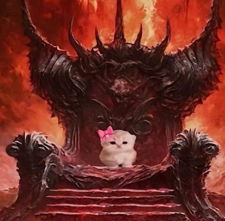 DulcePisad4's tweet photo. Happy Sunday to all my beautiful dommes! Subs better make sure to pump all that money to our accounts🖤 https://t.co/eHQrRjGiAV