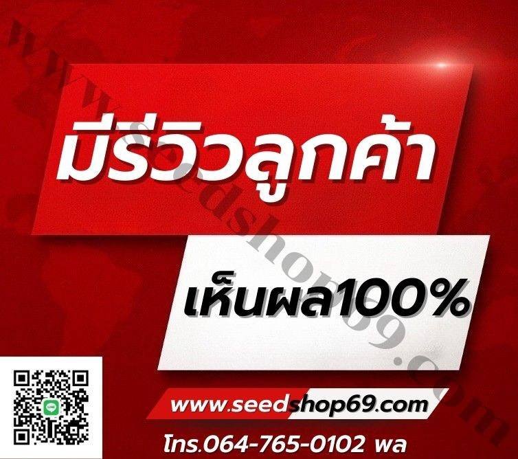 ailes277415's tweet photo. 🔥 ตัวช่วยดี ๆ สำหรับคืนพิเศษ
⚡ ความมั่นใจที่พกพาได้
🌙 พร้อมสำหรับทุกโมเมนต์สำคัญ
😎 ผู้หญิง ชาย หลายคนเลือกใช้ เพราะมั่นใจในคุณภาพ

🛒 https://t.co/Dh8lVbQ91O

💬 https://t.co/ZVG74ftiwb
📌 Line id: 0647650102
หรือโทร 📞 064-765-0102

#ยาปลุกเซ็กส์ #ยาเสียสาว #ยาสลบ #ยานอนหลับ https://t.co/foBB14j8WJ