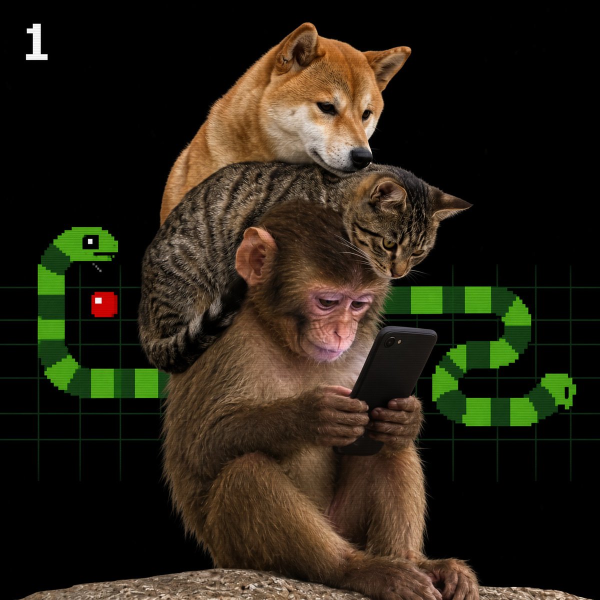 firstsnakeonsol's tweet photo. ape dog cat all playing snake on the fone og game https://t.co/Ln1eBH0TmR
