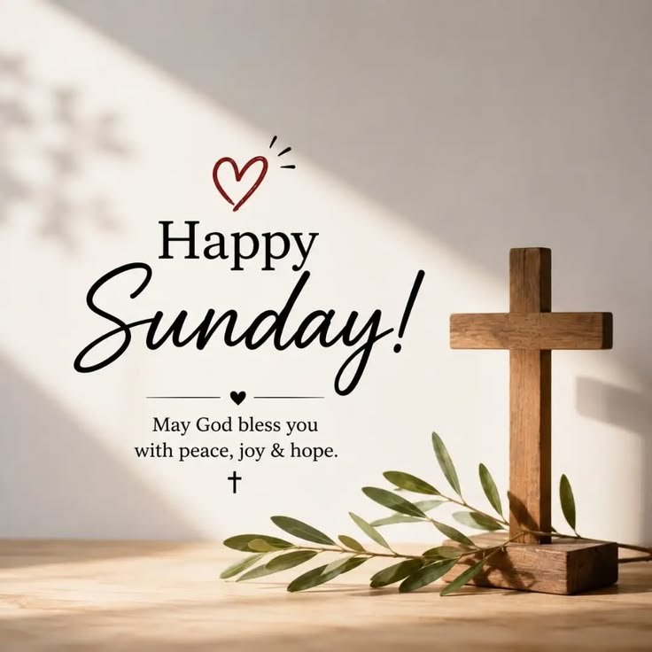 DanielWitkowski's tweet photo. Happy Sunday everyone 🤍

Hope you’re having a good one. Rest, reset, and get ready for another week. https://t.co/VZ5WGtohs2