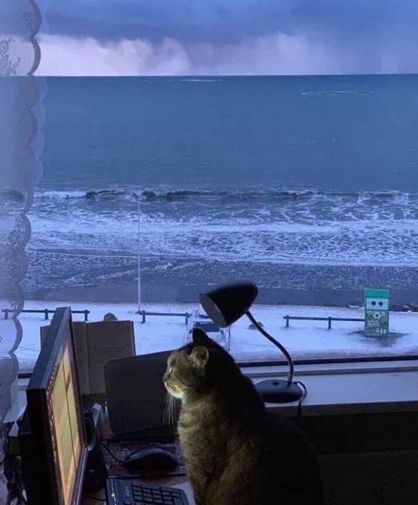 not__dog__'s tweet photo. As The Old Man of the Sea wandered up and down upon the length of the beach, he gazed towards the endless sea, thinking about many things. https://t.co/fuNv7WRDyj