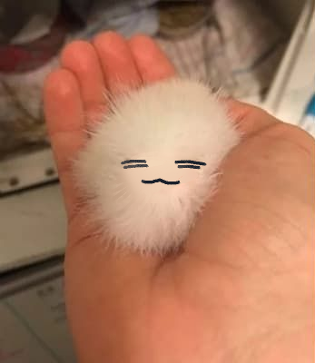 _K_Kiwi_'s tweet photo. @kokomury 슥 저렴한 거 드림 https://t.co/mpJzoQCyR4