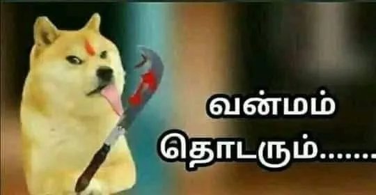 Thigilpandi77's tweet photo. @LoveUAllFF1 @kaadhalaa Nanu romba naala tweet mattumtha pathe ippo unna maari kena pundaigala polakanumnu oru veri https://t.co/9lIFeDBvao