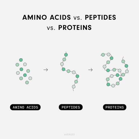 SaefkeWilliam's tweet photo. 🧬 What exactly is a peptide? Peptides are short chains of amino acids — the same building blocks that make up proteins. So, what’s the difference? https://t.co/pAh7e5Tcn7
