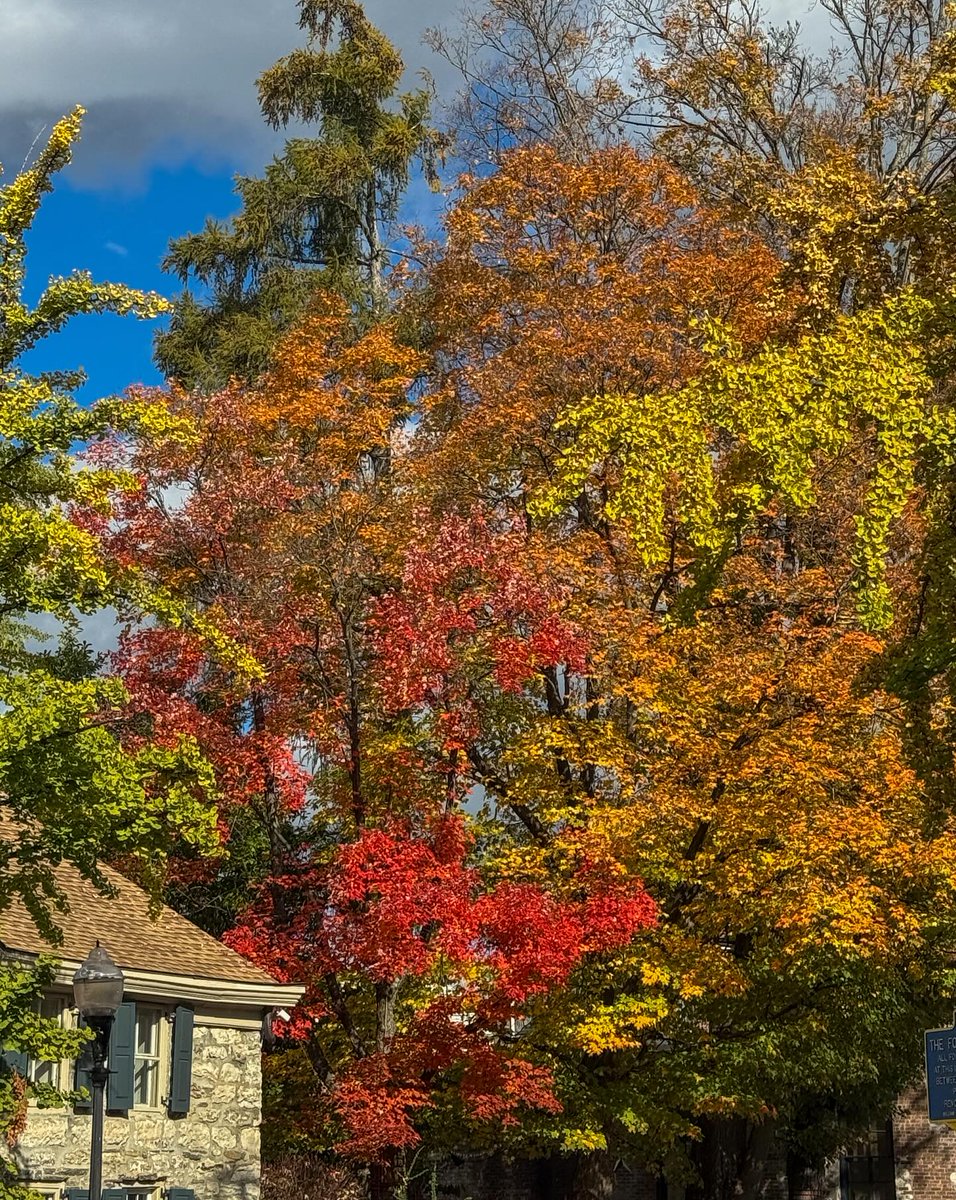 josumin42920667's tweet photo. The trees are on fire, but in the best way possible.
#fallvibes #autumnvibes #fallseason #autumnleaves #fallcolors #autumncolors #naturelovers #autumnbeauty #fallfoliage #seasonalchange https://t.co/yhTslmUr4V