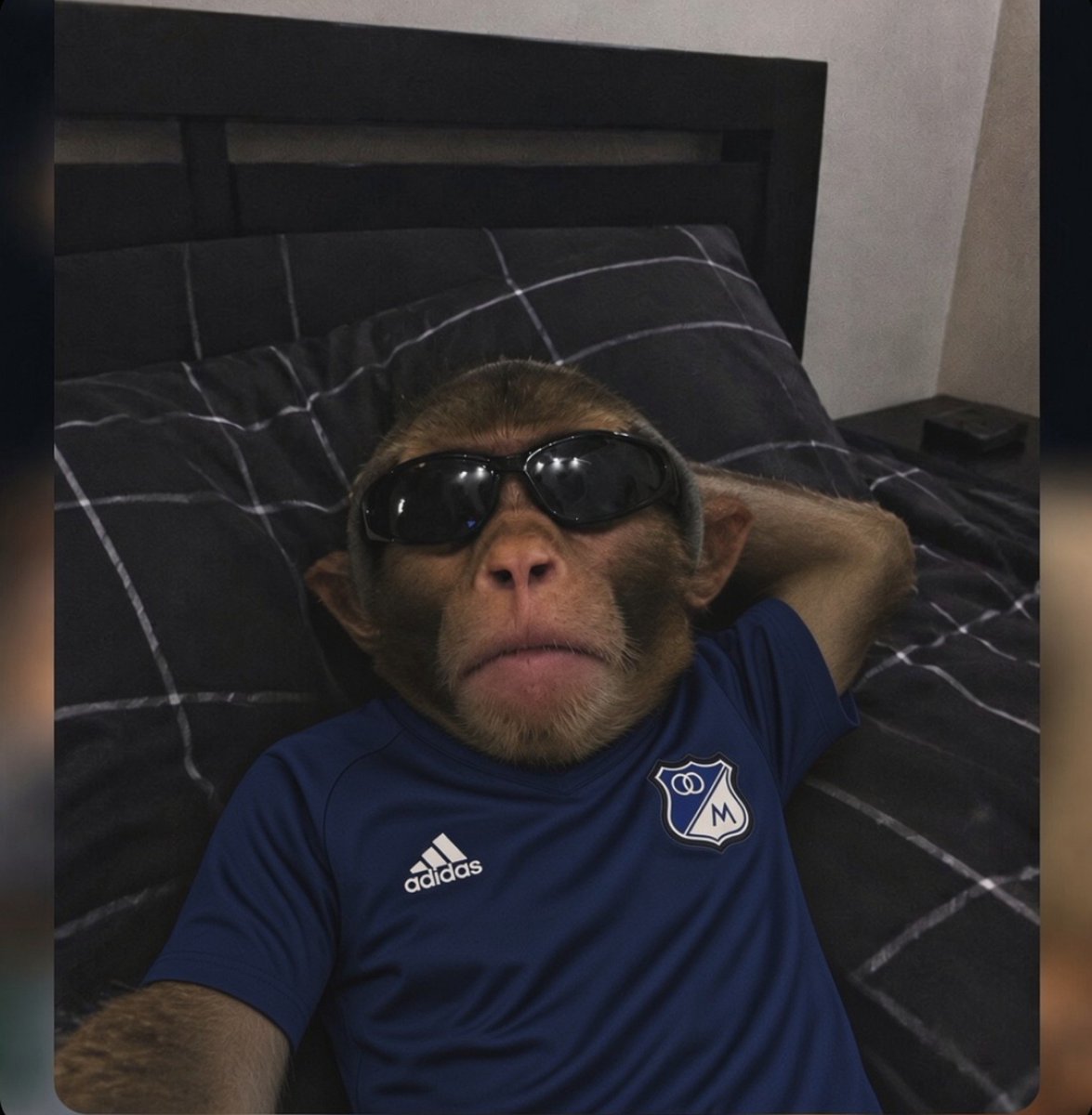 Millosporla17's tweet photo. Acá esperando a qué sean las 6 con 15 minutos: https://t.co/DTBLm3ai6K