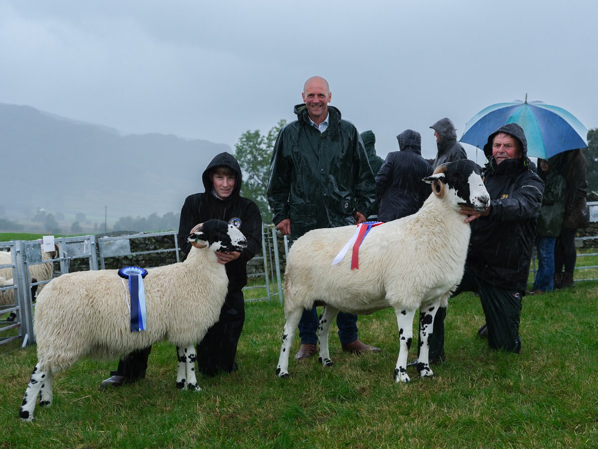 billplumtree's tweet photo. Congratulations to Brian Knowles, Rough Fell champion and reserve at Kentmere today (did I mention it was stormy?) with a mother and daughter team. Brian went on to win overall champion. Thanks to Paul "What rain?" Capstick for judging   joint #SheepOfTheDay https://t.co/bDSUKu7FxD