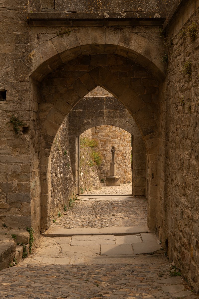 itsrapha83's tweet photo. The citadel of Carcassone

Magical places exist https://t.co/w1HlGULWfd