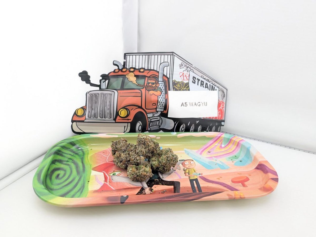 555_mic42518's tweet photo. Carlsbad weed, Carson weed, Cary weed, Centennial weed, Chico weed, Citrus Heights weed, Clovis weed, Columbia weed, Compton weed, Costa Mesa weed, Daly City weed, Danbury weed, Davenport weed, Davie weed, Dearborn weed, Denton weed, Downey weed, El Cajon weed, El Monte weed, Elk https://t.co/NXQoaYwWYX