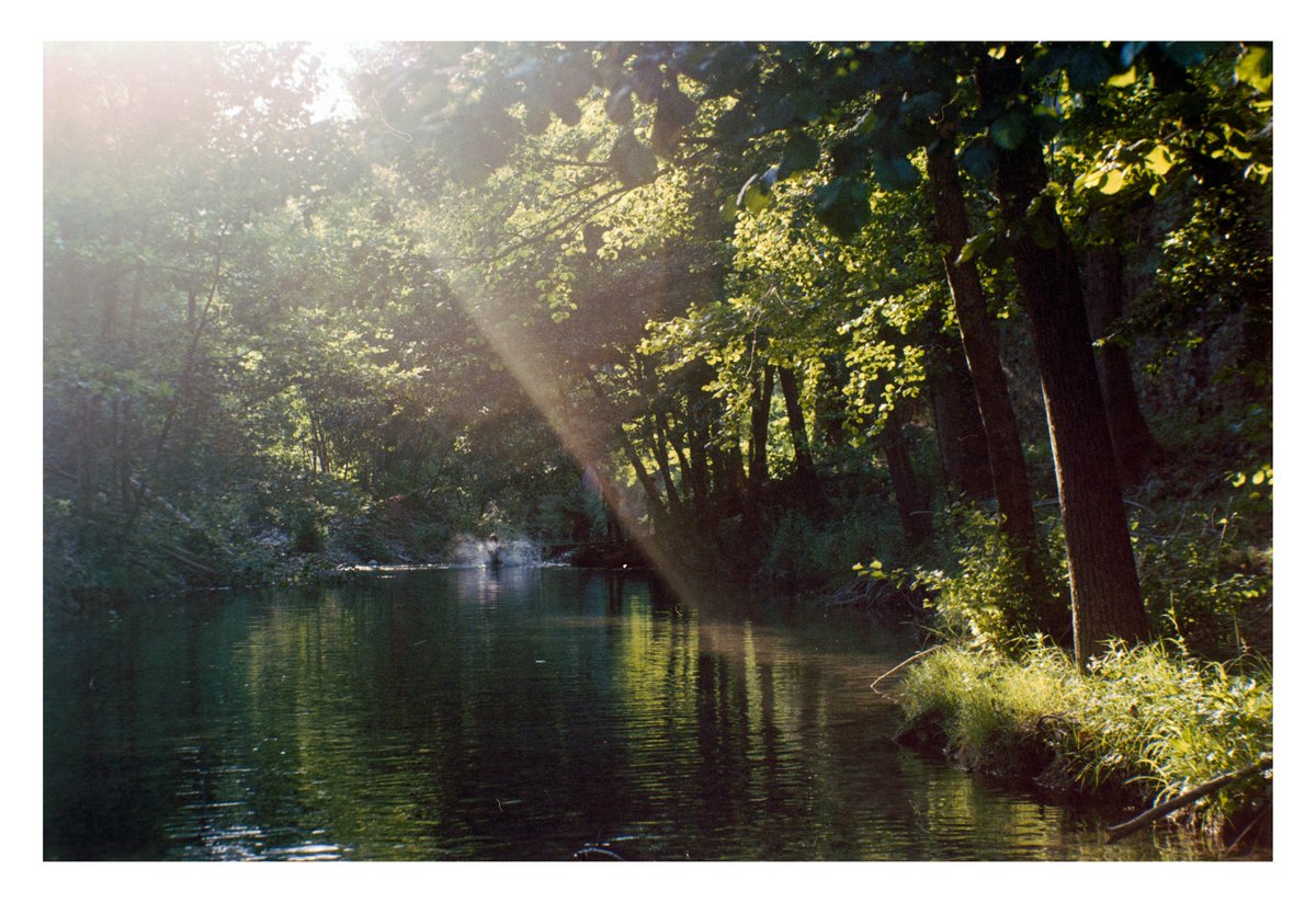 MALEOJENE's tweet photo. Naturaleza, 35mm. España.
Olympus OM-2n / Zuiko 50mm.
Kodak ColorPlus 200.
#fotografía #photography #streetphotography #fotografíacallejera #Kodak #KodakColorPlus https://t.co/7PkpacAcZu