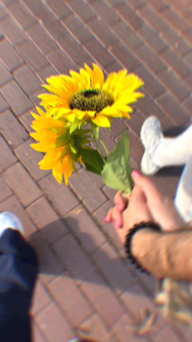 riheeng's tweet photo. 🌻 https://t.co/CArO1HWUFT