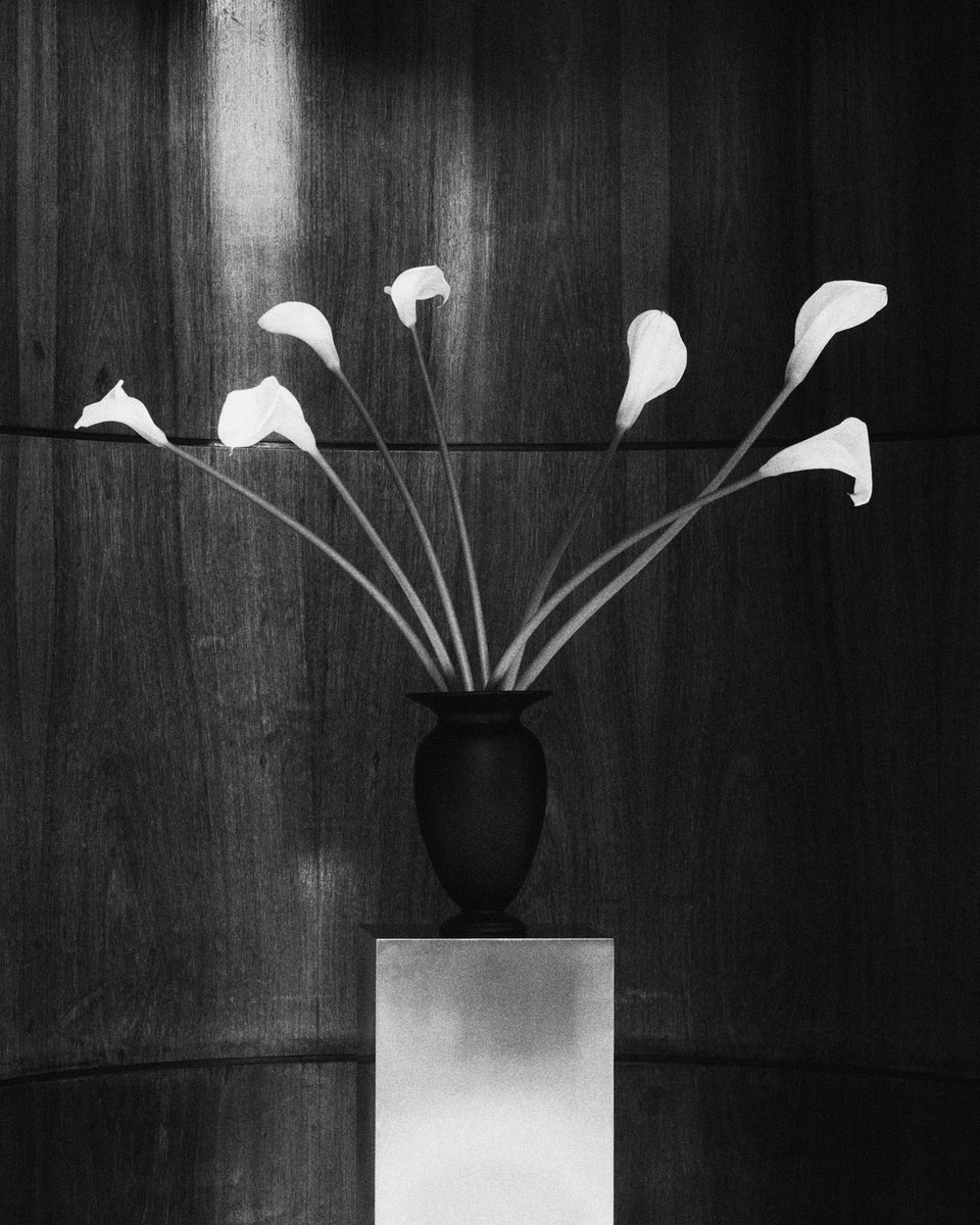 zarahome's tweet photo. STUDIO MARY LENNOX

Zara Home introduces a new collaboration with Studio Mary Lennox, the Berlin-based floral design studio founded by Ruby Barber, whose distinctive approach has redefined contemporary floristry.

Discover the new collection at https://t.co/DmbOLEiJir
#zarahome https://t.co/pFb2If8HPh