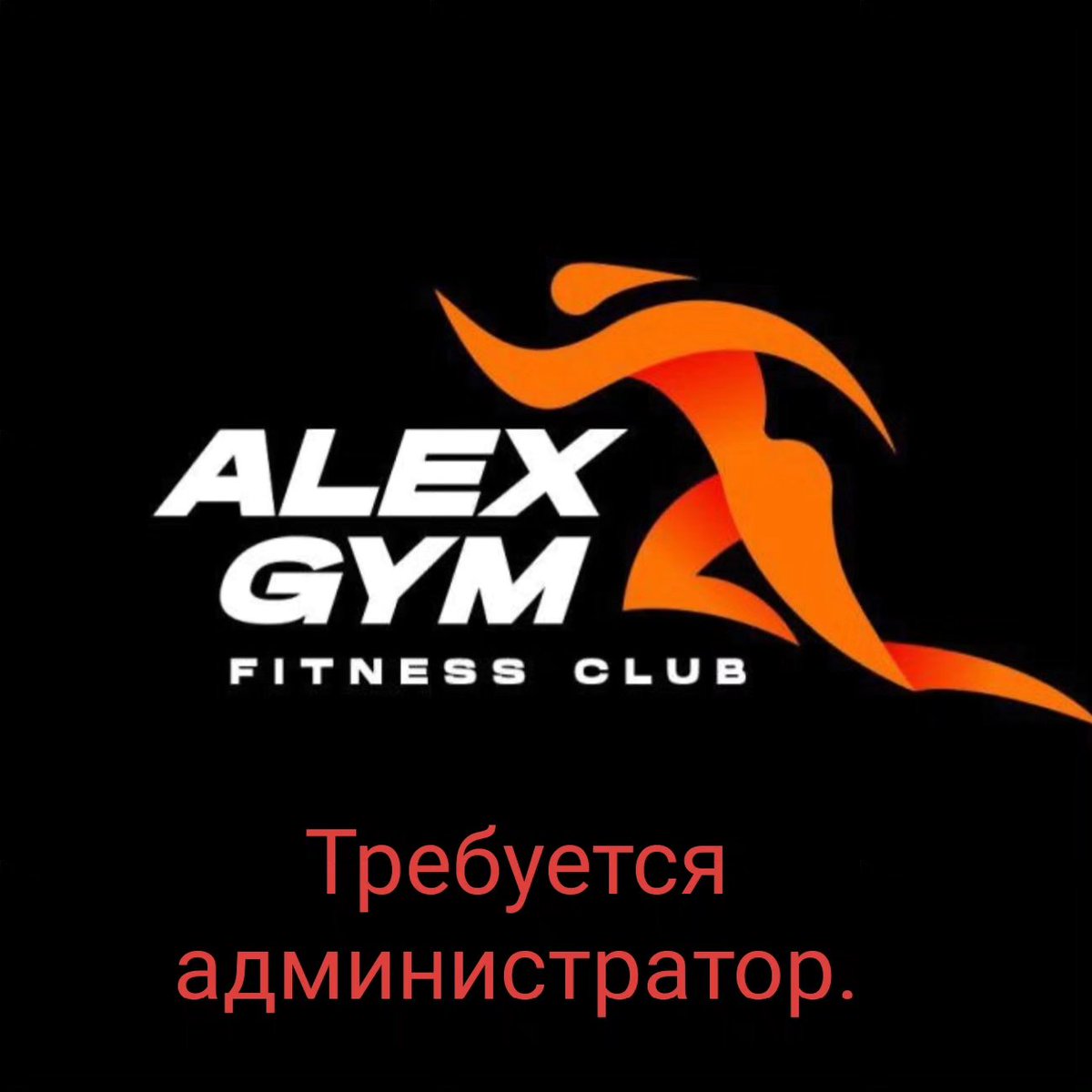 Jacqueline6bb's tweet photo. Contact us by phone: +79219314444 https://t.co/c4CMM22tBh