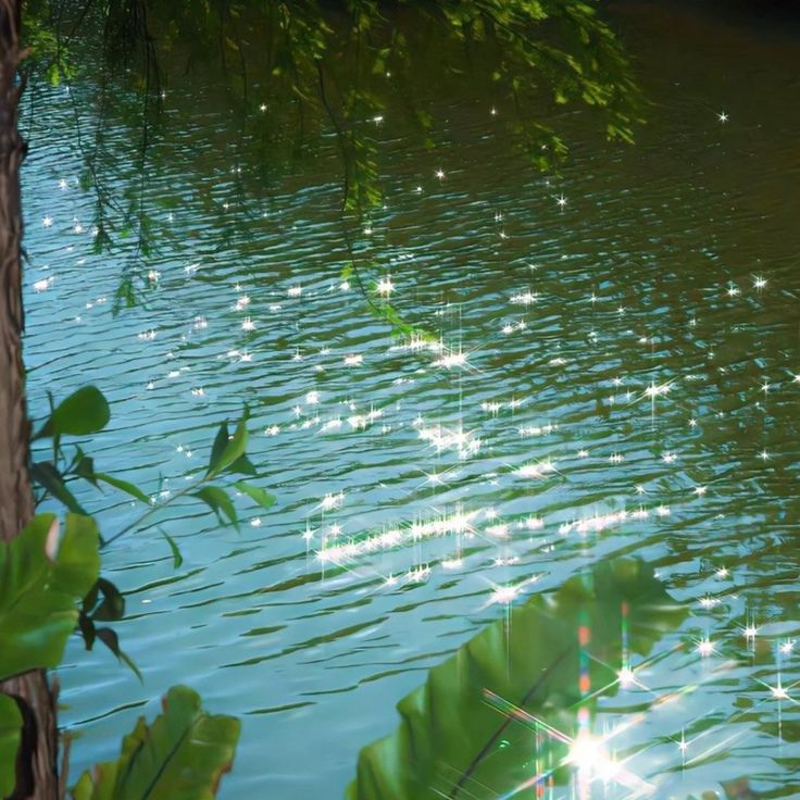 greenvibe's tweet photo. dream https://t.co/JYBd5Mm4Ix