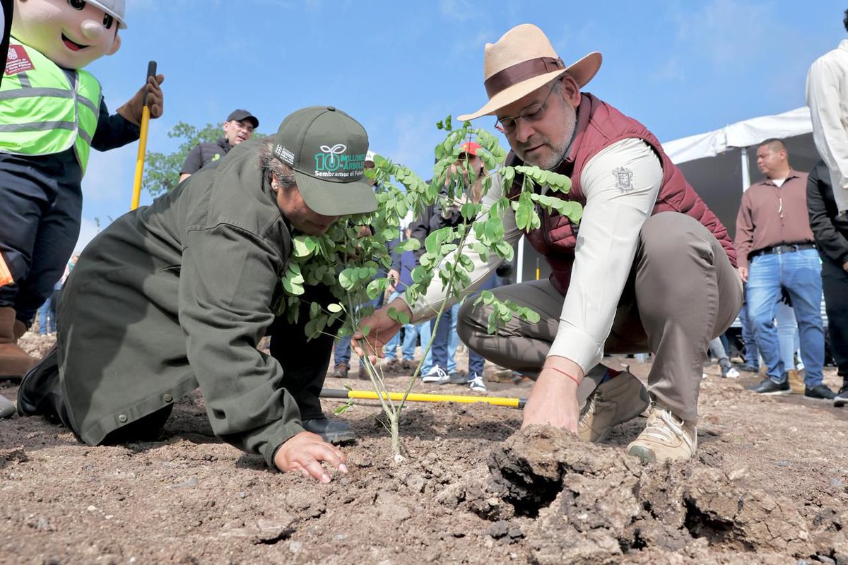 247NoticiasMich's tweet photo. 🌱 El gobernador @ARBedolla encabezó la 𝐬𝐞𝐠𝐮𝐧𝐝𝐚 𝐣𝐨𝐫𝐧𝐚𝐝𝐚 𝐝𝐞 𝐫𝐞𝐟𝐨𝐫𝐞𝐬𝐭𝐚𝐜𝐢𝐨́𝐧 del proyecto #Morebús en los límites de #Morelia y #Charo, donde se plantaron 𝟐 𝐦𝐢𝐥 𝟓𝟎𝟎 𝐚́𝐫𝐛𝐨𝐥𝐞𝐬.
 
🌲Esta acción forma parte de un gran esfuerzo para destinar 𝟑𝟐 𝐦𝐢𝐥 𝐞𝐣𝐞𝐦𝐩𝐥𝐚𝐫𝐞𝐬 a distintas zonas de la ciudad y avanzar en la creación de un cinturón verde en el 𝐒𝐞𝐠𝐮𝐧𝐝𝐨 𝐀𝐧𝐢𝐥𝐥𝐨 𝐏𝐞𝐫𝐢𝐟𝐞́𝐫𝐢𝐜𝐨. 🍃

Con esta jornada, #Michoacán avanza de la mano con la sustentabilidad y el cuidado del medio ambiente.

#247NoticiasMichoacán 

https://t.co/Sm7EV6zBIn