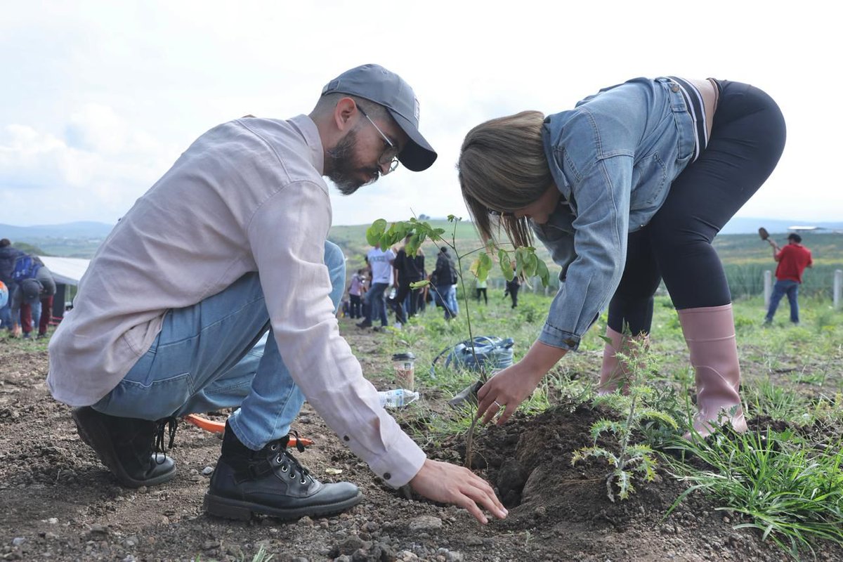 247NoticiasMich's tweet photo. 🌱 El gobernador @ARBedolla encabezó la 𝐬𝐞𝐠𝐮𝐧𝐝𝐚 𝐣𝐨𝐫𝐧𝐚𝐝𝐚 𝐝𝐞 𝐫𝐞𝐟𝐨𝐫𝐞𝐬𝐭𝐚𝐜𝐢𝐨́𝐧 del proyecto #Morebús en los límites de #Morelia y #Charo, donde se plantaron 𝟐 𝐦𝐢𝐥 𝟓𝟎𝟎 𝐚́𝐫𝐛𝐨𝐥𝐞𝐬.
 
🌲Esta acción forma parte de un gran esfuerzo para destinar 𝟑𝟐 𝐦𝐢𝐥 𝐞𝐣𝐞𝐦𝐩𝐥𝐚𝐫𝐞𝐬 a distintas zonas de la ciudad y avanzar en la creación de un cinturón verde en el 𝐒𝐞𝐠𝐮𝐧𝐝𝐨 𝐀𝐧𝐢𝐥𝐥𝐨 𝐏𝐞𝐫𝐢𝐟𝐞́𝐫𝐢𝐜𝐨. 🍃

Con esta jornada, #Michoacán avanza de la mano con la sustentabilidad y el cuidado del medio ambiente.

#247NoticiasMichoacán 

https://t.co/Sm7EV6zBIn