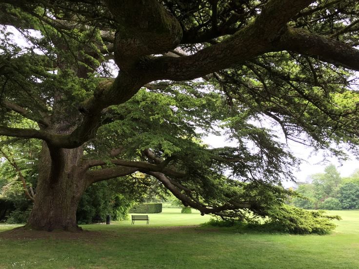 lammours's tweet photo. in another universe i’m a tree. https://t.co/fMknDsd6qA