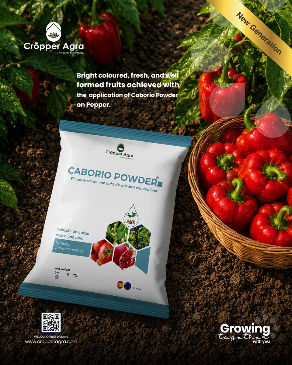Cropper_Agra's tweet photo. 🌱 Caborio Powder | MTT Nutrition
🧪 Efficient Calcium uptake
💧 Better stress tolerance
🍎 Higher fruit quality &amp; shelf-life
📈 Maximum impact at low doses

#CropperAgra #Caborio #MTT https://t.co/jxZrbehBJQ