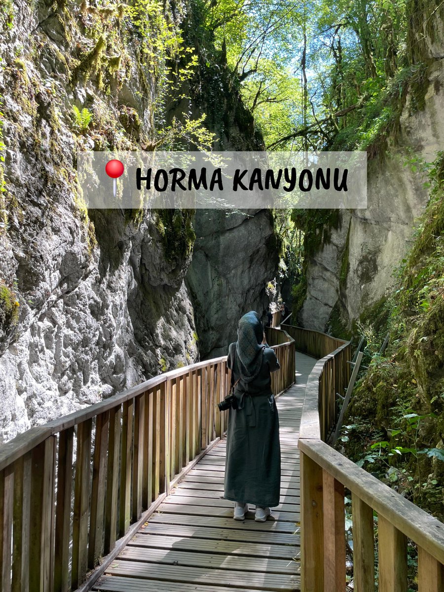 tugba_pdr's tweet photo. Kastamonu'ya vardım yaz bitmeden... Sadece doğasının güzelliği değil hissettirdiği huzur da başkaydı 💚 https://t.co/KLnNRQkGCg