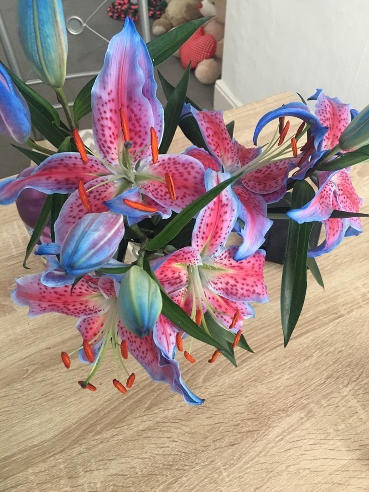 dreamyflowerrs's tweet photo. lilies https://t.co/D5faYThBxz