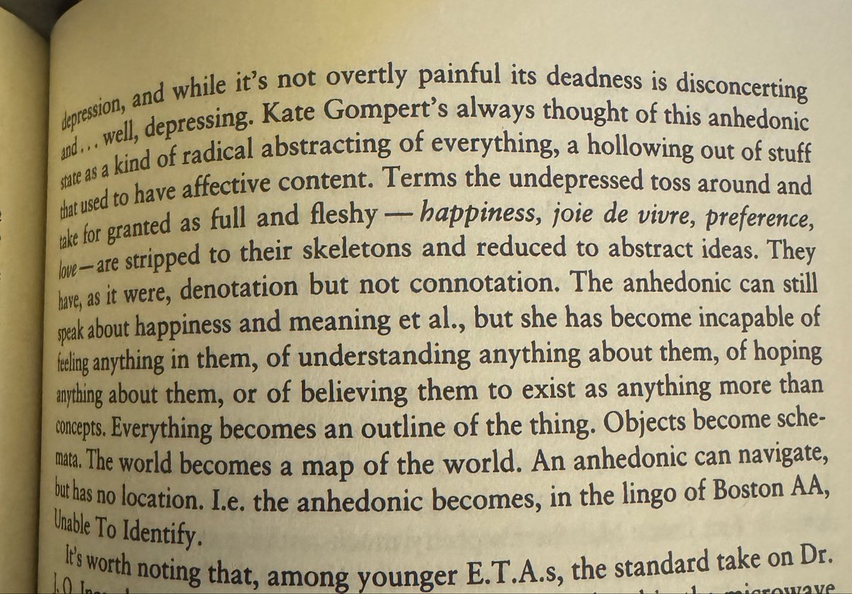 marioparty_pro's tweet photo. anyway here’s an excerpt from infinite jest that i have kept close to my heart since i read it https://t.co/IvYQHgoqIC