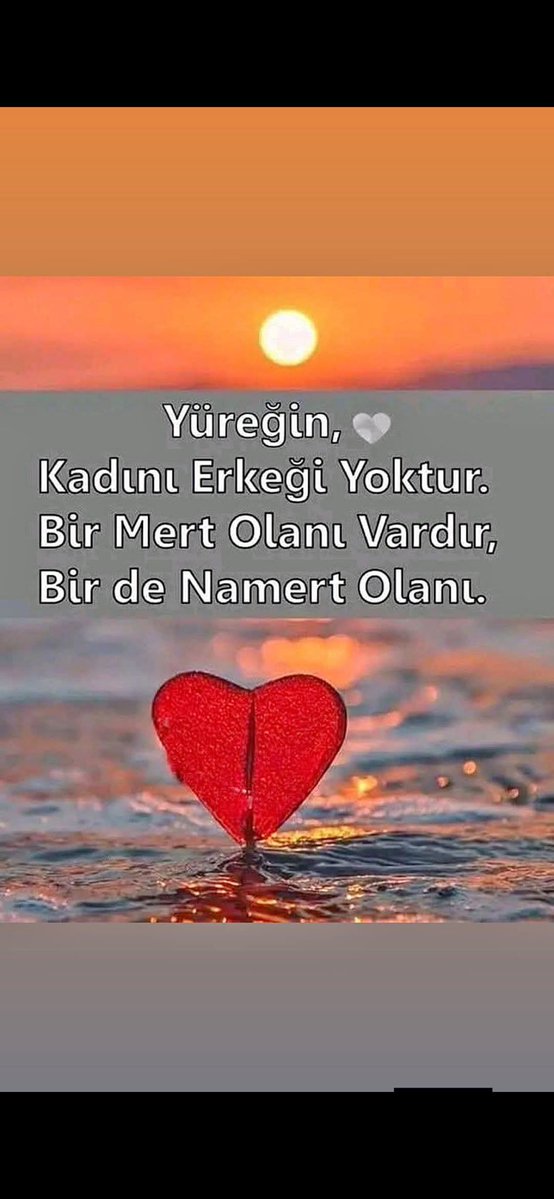 Salihaavci06's tweet photo. https://t.co/7jddyDdyHC
