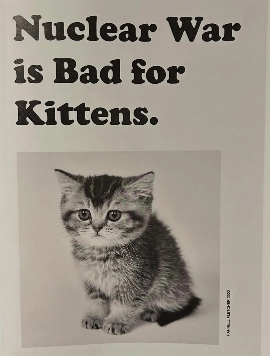 CatPosted's tweet photo. https://t.co/30C9FOjk5o